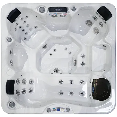 Avalon EC-849L hot tubs for sale in Westland