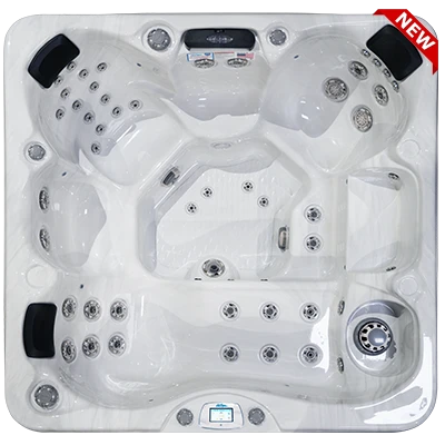 Avalon-X EC-849LX hot tubs for sale in Westland